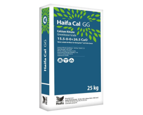 Haifa-Cal GG