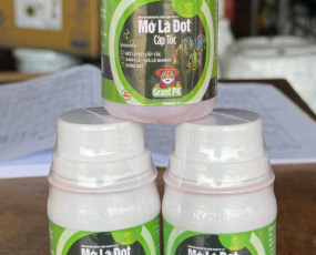 MỞ LÁ CẤP TỐC-RỒNG LỬA