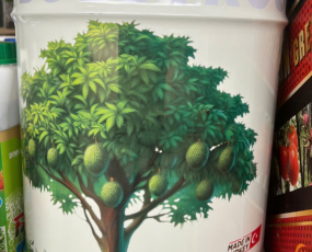 BIO ROOTS THỔ NHĨ KÌ