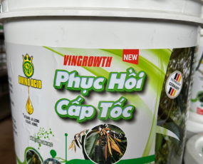 PHỤC HỒI CẤP TỐC XÔ 20KG RỒNG LỬA