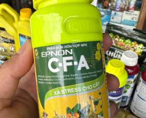 AMINO CFA EPNON 
