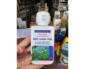 SIÊU LOANG TRẢI THANH HÀ