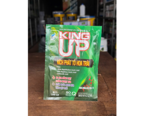kÍCH PHÁT TỐ KING UP RỒNG LỬA