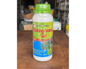BIOKING AMINO GA3 RỒNG LỬA