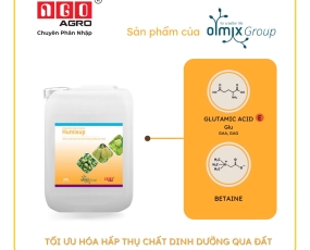 HUMIXUP CAN 20L NGÔ AGRO – Tối ưu hấp thu dinh dưỡng qua đất
