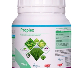 Proplex – Kích hoạt sinh trưởng toàn diện