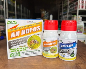 CẶP ĐÔI TRỊ RẦY - AN FENO VÀ AN NOFOS