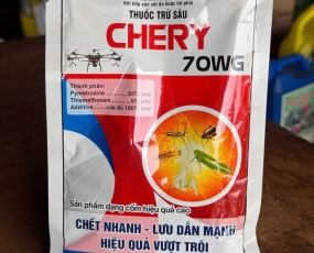 CHERY 70WG ĐẶC TRỊ RẦY