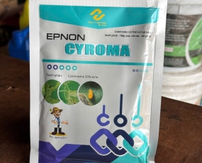 CYROMA 500WP EPNON