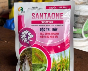 SANTAONE 200WP