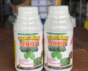 VÀNG RỒNG 9999 250ML - CHỐNG RỤNG TỨC THÌ