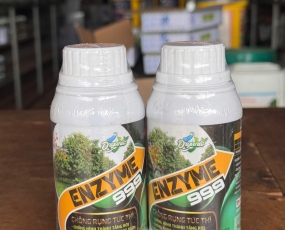 ENZYME 999 ( CHỐNG RỤNG TỨC THÌ )