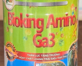 BIOKING AMINO GA3