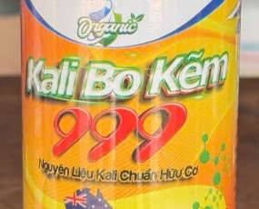 KALI BO KẼM 999