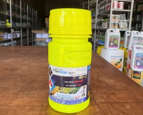 SINSTAR 250SC EPNON ( RỬA BÔNG TRÁI KIỂU NHẬT )