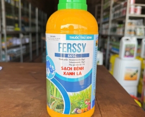 FERSSY 66SC ( THÁN THƯ, RỈ SẮT )