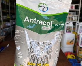 ANTRACOL 70 WP BAYER