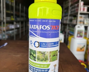 KATA FOS 713