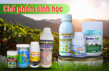 CHẾ PHẨM SINH HỌC