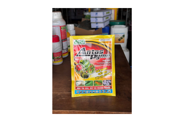 ANTAS PYME ĐẶC TRỊ SÂU RẦY KHÁNG THUỐC