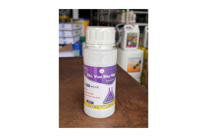 GLi. Vua Rầy Rệp.