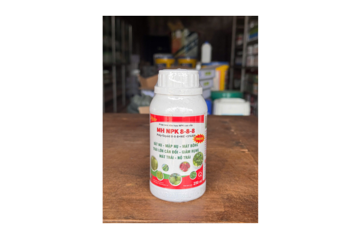 RONG BIỂN 888 CHỐNG RỤNG TRÁI HAIFA MINH HƯNG