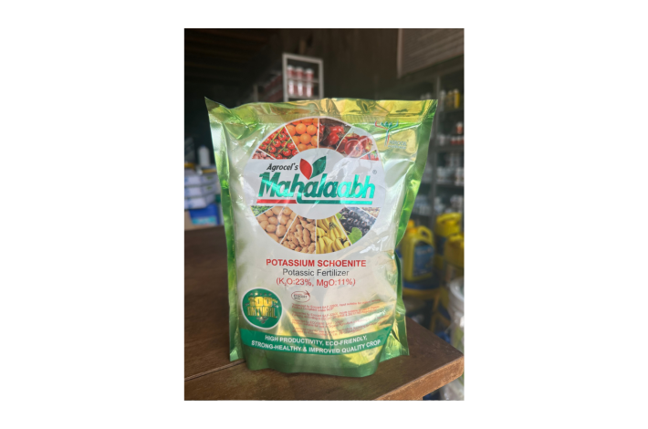 MAHALAABH - KALY TRẮNG ẤN ĐỘ 1KG 