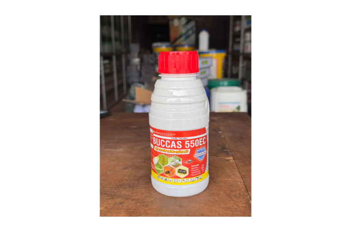 BUCCAS 550EC ĐẶC TRỊ RẦY XANH RỆP SÁP