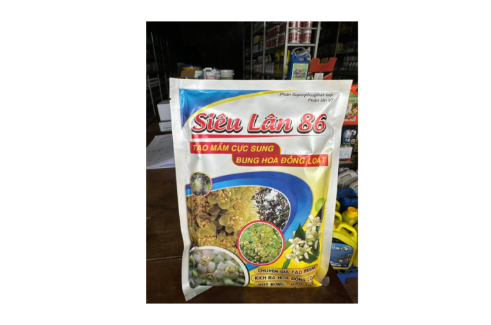 SIÊU LÂN 86 SION - TẠO MẦM HOA