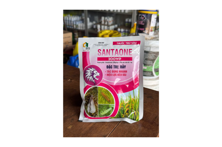 SANTAONE 200WP SNEWRICE