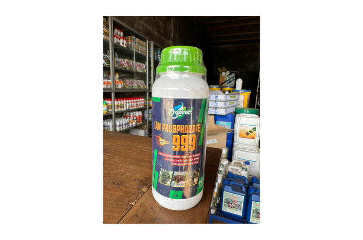 LÂN PHOSPHONATE 999 RỒNG LỬA