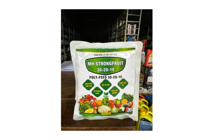 30-20-10 HAIFA MINH HƯNG