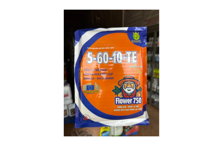 5-60-10 RỒNG LỬA