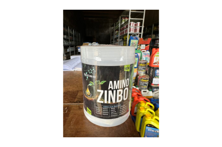 AMINO ZINBO RỒNG LỬA