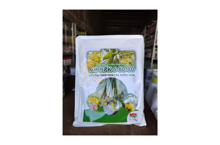 NPK 6-60-10 HAIFA ISRAEL TẠO MẦM HOA MH
