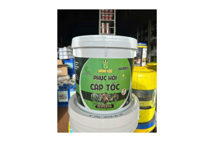 PHỤC HỒI CẤP TỐC RỒNG LỬA XÔ 10KG