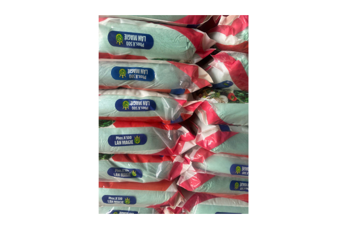 LÂN MAGIE PHOS.K 500 TẠO MẦM HOA RỒNG LỬA