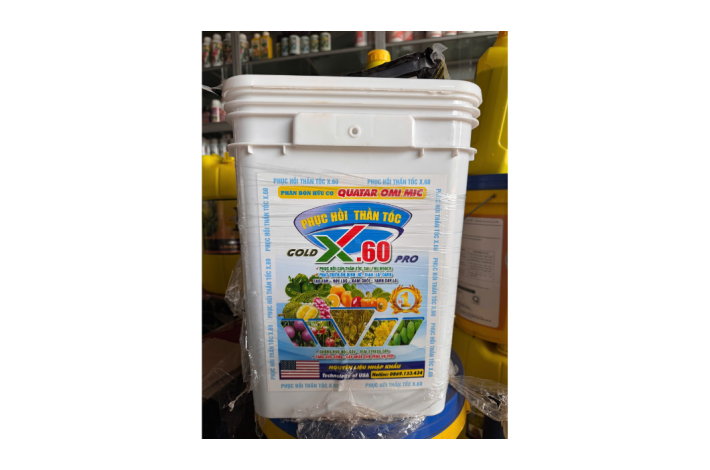  PHỤC HỒI THẦN TỐC X.60 