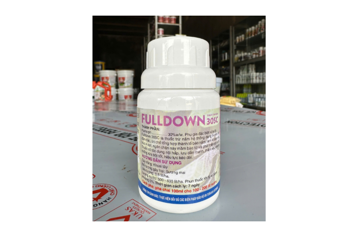 GLI SƯƠNG MAI (ĐẶC TRỊ SƯƠNG MAI)