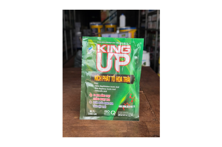 kÍCH PHÁT TỐ KING UP RỒNG LỬA