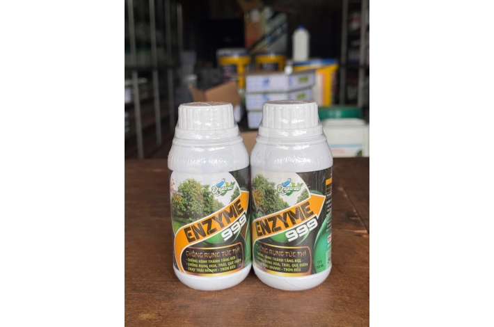 ENZYME 999 ( CHỐNG RỤNG TỨC THÌ )