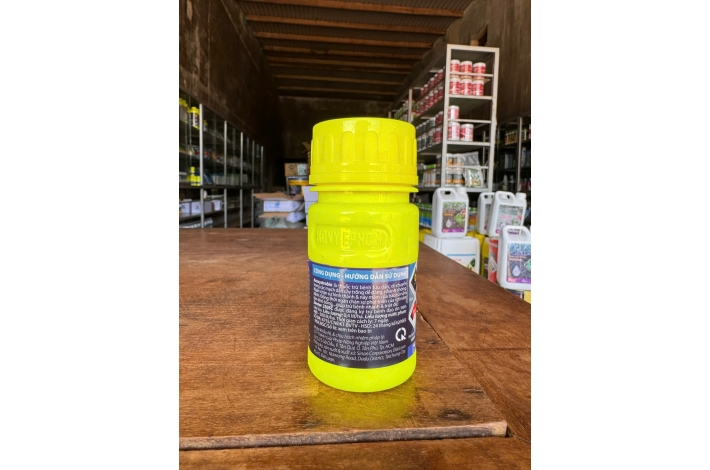 SINSTAR 250SC EPNON ( RỬA BÔNG TRÁI KIỂU NHẬT )