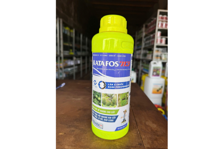 KATAFOS 713 EPNON LÂN LƯU DẪN 2 CHIỀU