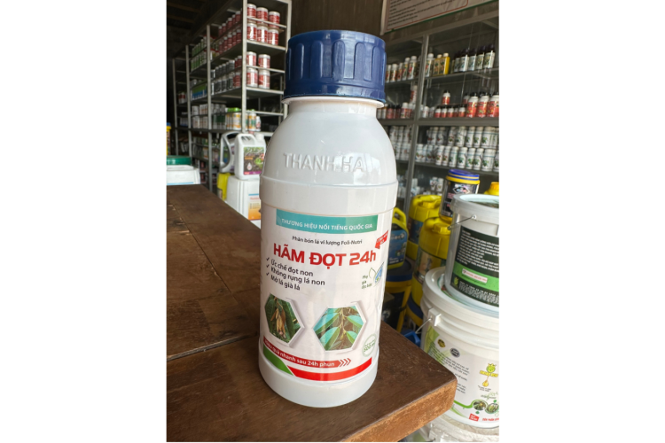 HÃM ĐỌT 24H THANH HÀ