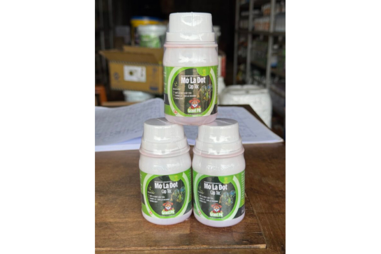 MỞ LÁ ĐỌT CẤP TỐC RỒNG LỬA