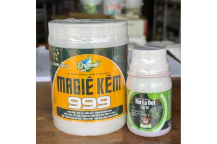 MỞ LÁ ĐỌT CẤP TỐC RỒNG LỬA