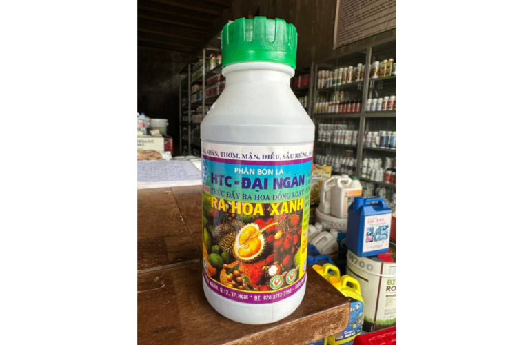 RA HOA XANH ĐẠI NGÀN