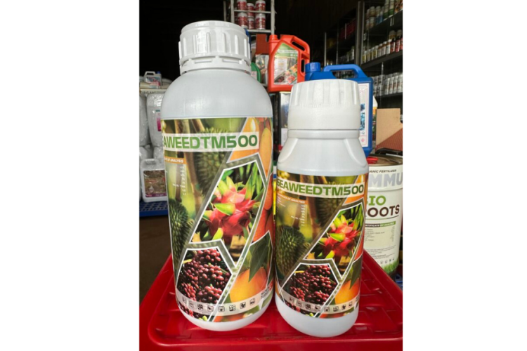 SEAWEED TM500 NAM VIỆT