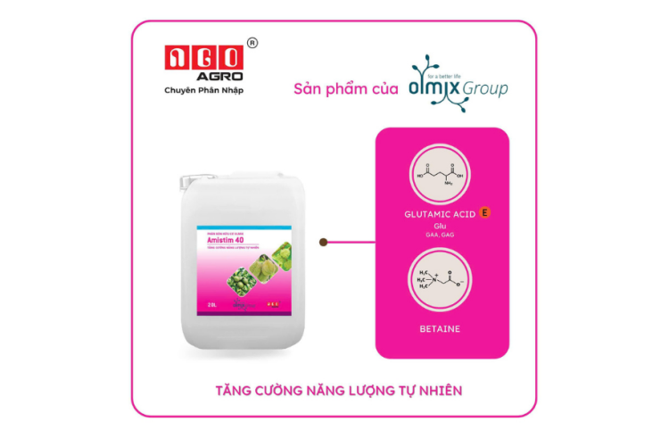 AMISTIM 40 NGÔ AGRO CAN 20L – Tăng cường năng lượng tự nhiên