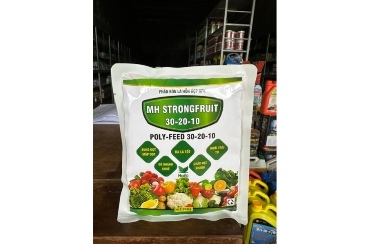 30-20-10 HAIFA MINH HƯNG